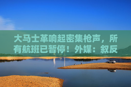 大马士革响起密集枪声，所有航班已暂停！外媒：叙反政府武装称开始入城