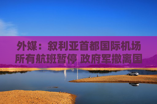 外媒：叙利亚首都国际机场所有航班暂停 政府军撤离国防总部
