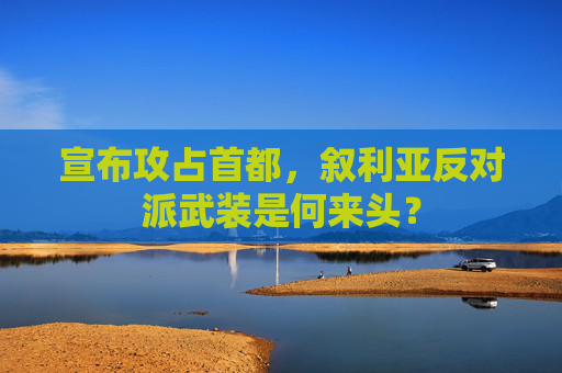 宣布攻占首都，叙利亚反对派武装是何来头？