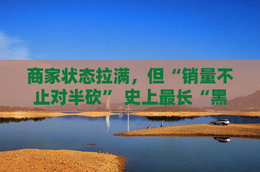 商家状态拉满，但“销量不止对半砍” 史上最长“黑五”落幕：Temu蛋糕不够分了？