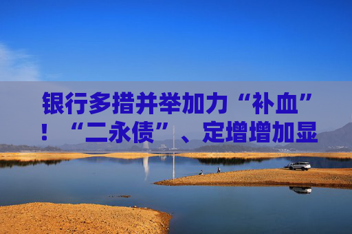 银行多措并举加力“补血”！“二永债”、定增增加显著