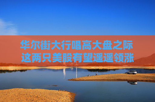 华尔街大行唱高大盘之际 这两只美股有望遥遥领涨