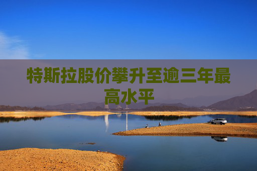 特斯拉股价攀升至逾三年最高水平