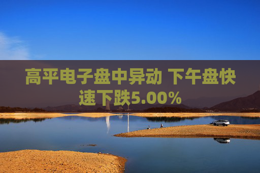 高平电子盘中异动 下午盘快速下跌5.00%