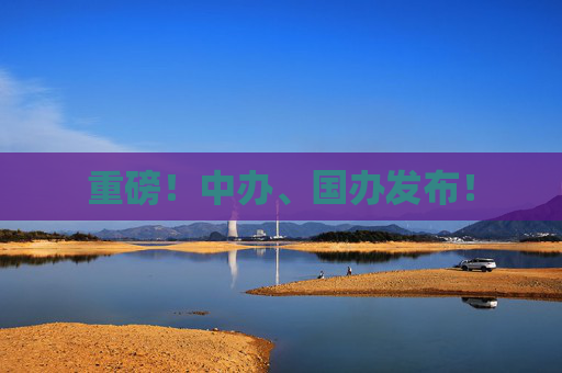 重磅！中办、国办发布！