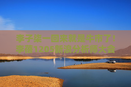 李子柒一回来就是牛市了！李蓓1205新浪分析师大会部分演讲内容！
