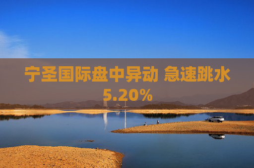 宁圣国际盘中异动 急速跳水5.20%