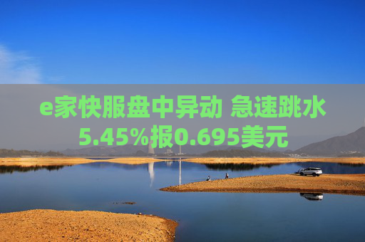 e家快服盘中异动 急速跳水5.45%报0.695美元