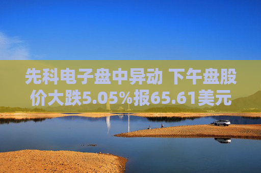 先科电子盘中异动 下午盘股价大跌5.05%报65.61美元