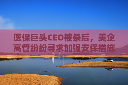 医保巨头CEO被杀后，美企高管纷纷寻求加强安保措施