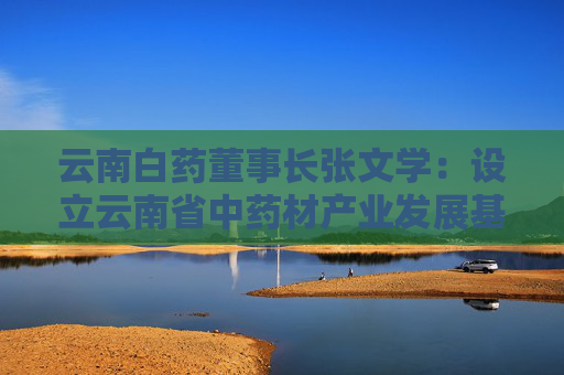 云南白药董事长张文学：设立云南省中药材产业发展基金，快速构建医药大健康产业集群