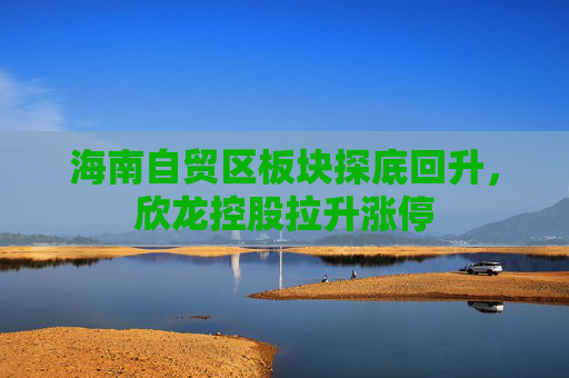 海南自贸区板块探底回升，欣龙控股拉升涨停