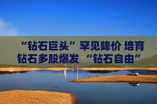 “钻石巨头”罕见降价 培育钻石多股爆发 “钻石自由”还有多远？