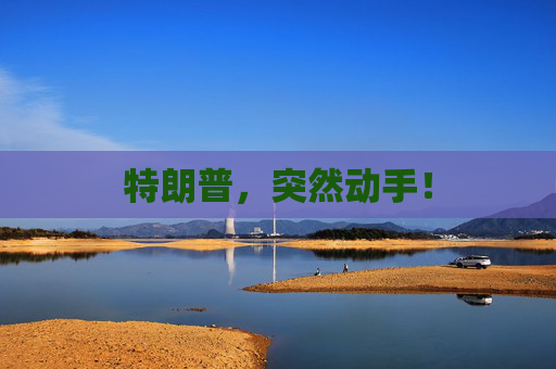 特朗普，突然动手！