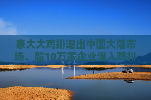豪大大鸡排退出中国大陆市场，超10万家企业涌入鸡排炸鸡赛道