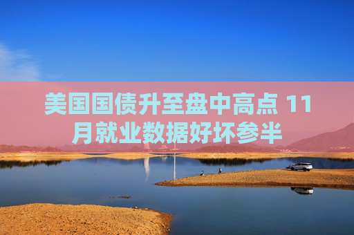 美国国债升至盘中高点 11月就业数据好坏参半
