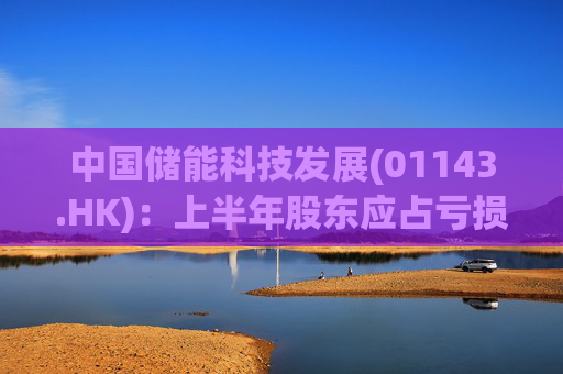 中国储能科技发展(01143.HK)：上半年股东应占亏损390.8万港元