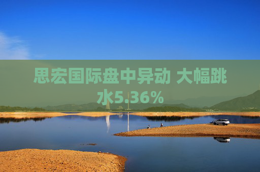 思宏国际盘中异动 大幅跳水5.36%