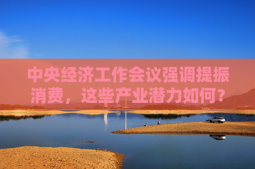 中央经济工作会议强调提振消费，这些产业潜力如何？