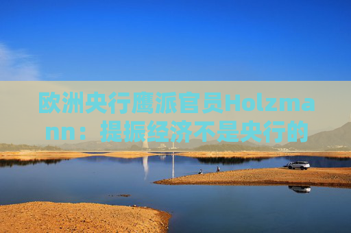 欧洲央行鹰派官员Holzmann：提振经济不是央行的职责