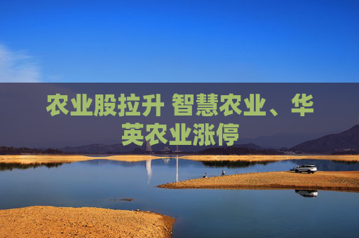 农业股拉升 智慧农业、华英农业涨停