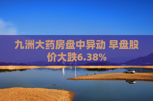 九洲大药房盘中异动 早盘股价大跌6.38%