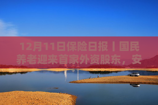 12月11日保险日报丨国民养老迎来首家外资股东，安联投资入股获批！保险股齐涨，后市如何走？