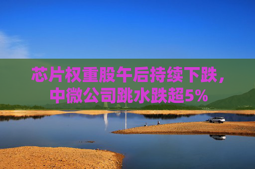 芯片权重股午后持续下跌，中微公司跳水跌超5%