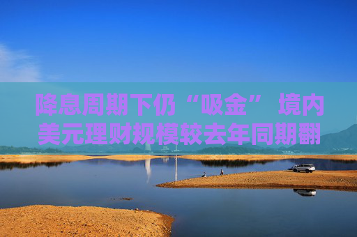 降息周期下仍“吸金” 境内美元理财规模较去年同期翻倍