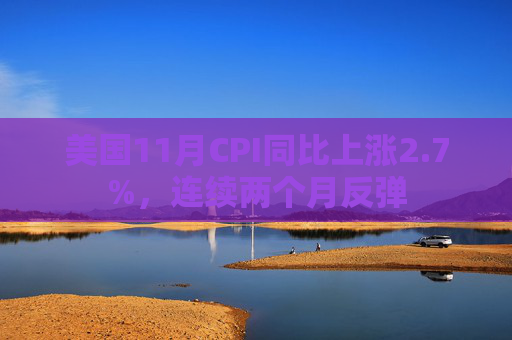 美国11月CPI同比上涨2.7%，连续两个月反弹