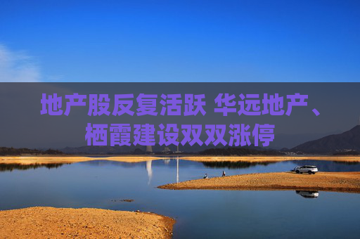 地产股反复活跃 华远地产、栖霞建设双双涨停