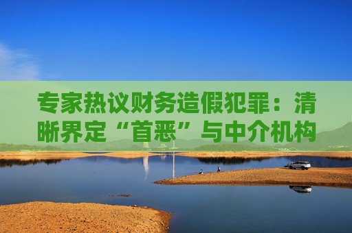 专家热议财务造假犯罪：清晰界定“首恶”与中介机构责任是难点