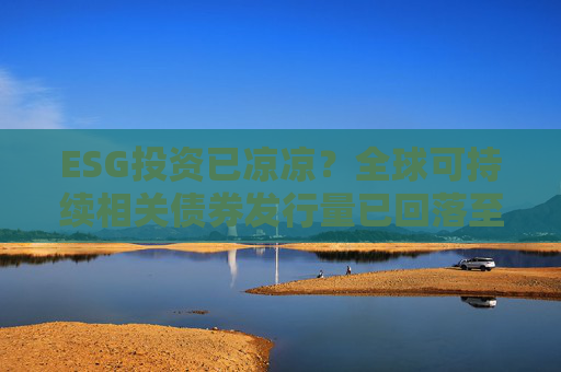 ESG投资已凉凉？全球可持续相关债券发行量已回落至四年新低