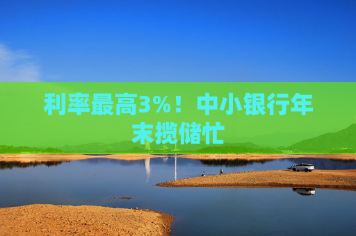 利率最高3%！中小银行年末揽储忙