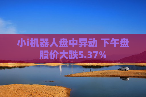 小i机器人盘中异动 下午盘股价大跌5.37%