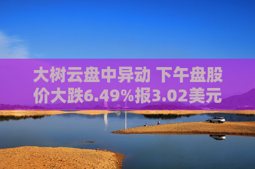 大树云盘中异动 下午盘股价大跌6.49%报3.02美元