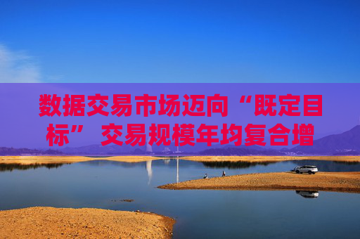 数据交易市场迈向“既定目标” 交易规模年均复合增长率预计超46%