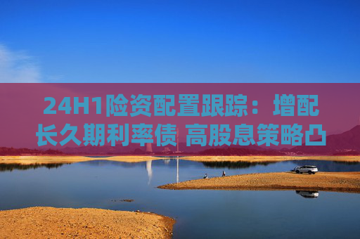 24H1险资配置跟踪：增配长久期利率债 高股息策略凸显