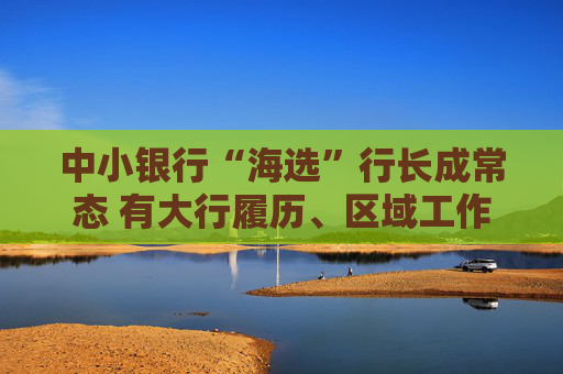中小银行“海选”行长成常态 有大行履历、区域工作背景者受青睐