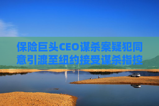 保险巨头CEO谋杀案疑犯同意引渡至纽约接受谋杀指控