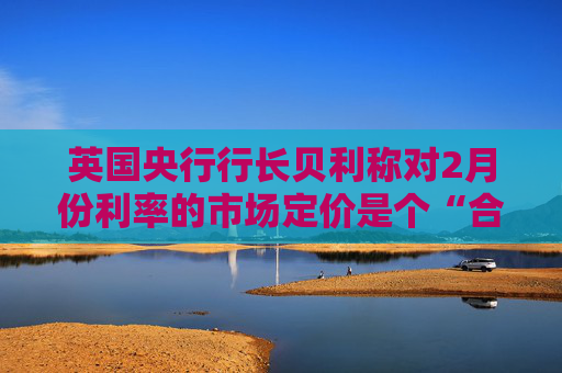 英国央行行长贝利称对2月份利率的市场定价是个“合理的起点”