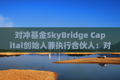 对冲基金SkyBridge Capital创始人兼执行合伙人：对MicroStrategy债务的担忧被夸大了