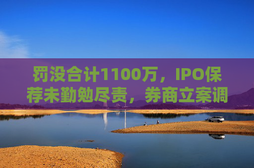 罚没合计1100万，IPO保荐未勤勉尽责，券商立案调查结果出炉