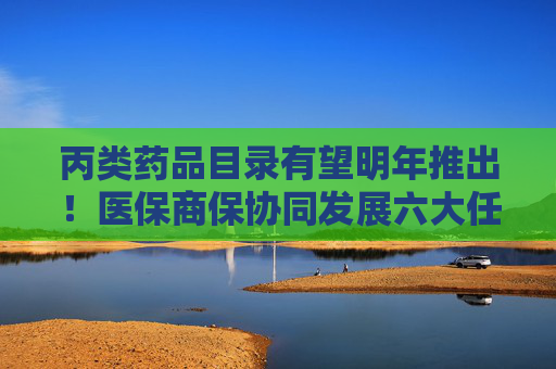 丙类药品目录有望明年推出！医保商保协同发展六大任务明确