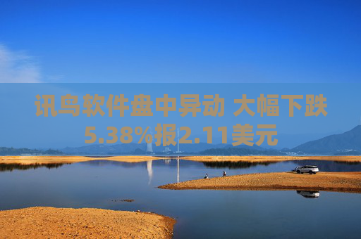 讯鸟软件盘中异动 大幅下跌5.38%报2.11美元