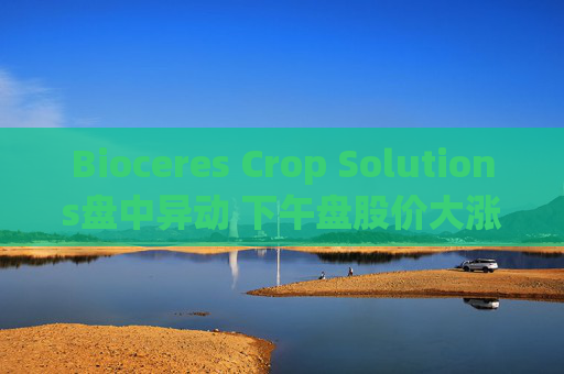 Bioceres Crop Solutions盘中异动 下午盘股价大涨5.11%