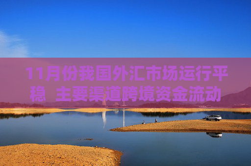11月份我国外汇市场运行平稳  主要渠道跨境资金流动总体稳定