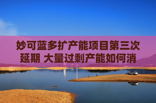妙可蓝多扩产能项目第三次延期 大量过剩产能如何消化？