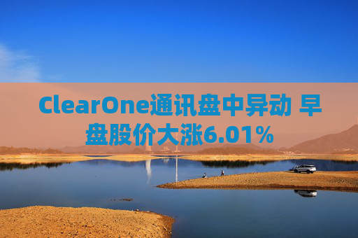 ClearOne通讯盘中异动 早盘股价大涨6.01%