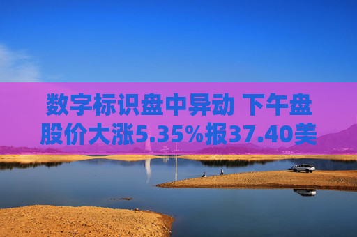 数字标识盘中异动 下午盘股价大涨5.35%报37.40美元